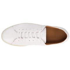 Astor Low Lace Up Sneakers