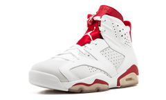 6 Retro "Alternate" 384664 113