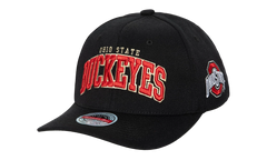 NCAA The Champ "Black Ohio State" HHSS3181 OSTYYPPPBLCK_OS