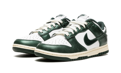 DUNK LOW WMNS"Vintage Green" DQ8580 100
