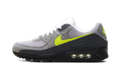 Air Max 90 "Neon" IQ0289 010