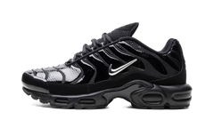 Air Max Plus "Metallic Black" FJ2591 001