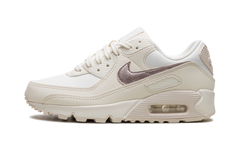 AIR MAX 90 WMNS "Sail Pink Oxford" DX0115 101