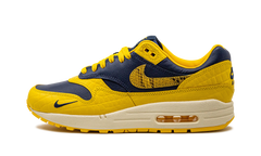 AIR MAX 1 PRM MNS WMNS "Co.jp Head to Head" FJ5479 410