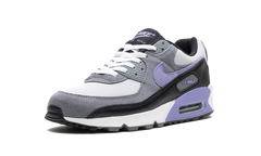 Air Max 90 "Light Thistle" DM0029 014