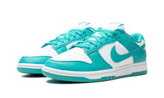 Dunk Low Next Nature WMNS"Dusty Cactus" DD1873 105