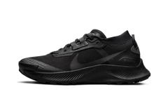 Pegasus Trail 3 Gore-Tex Wmns "Black" DC8794 001