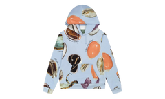 Shell Hoodie "Blue" DT429