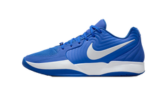 Ja 2 TB "Royal" HQ8513-400
