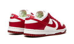 DUNK LOW NEXT NATURE WMNS"University Red" DN1431 101
