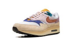 AIR MAX 1'87 PREM WMNS"Tan Lines" FN7200 224